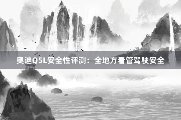 奥迪Q5L安全性评测：全地方看管驾驶安全